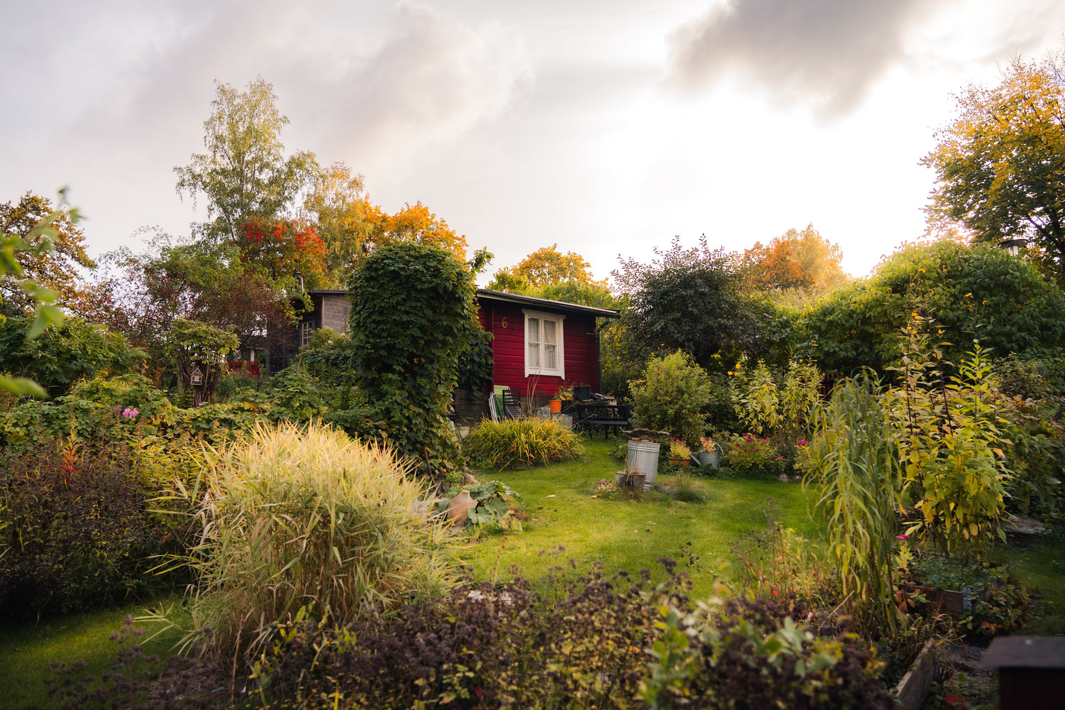 Collection Scandinavie