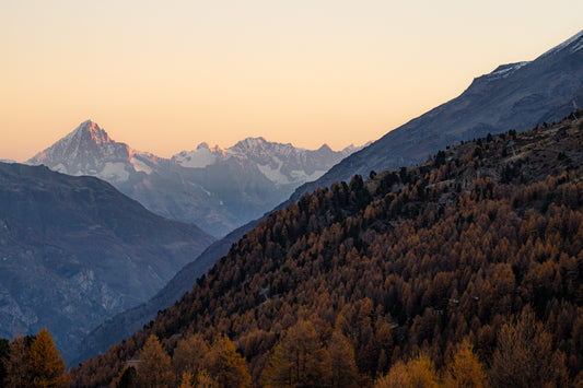 The Valley of the Giants