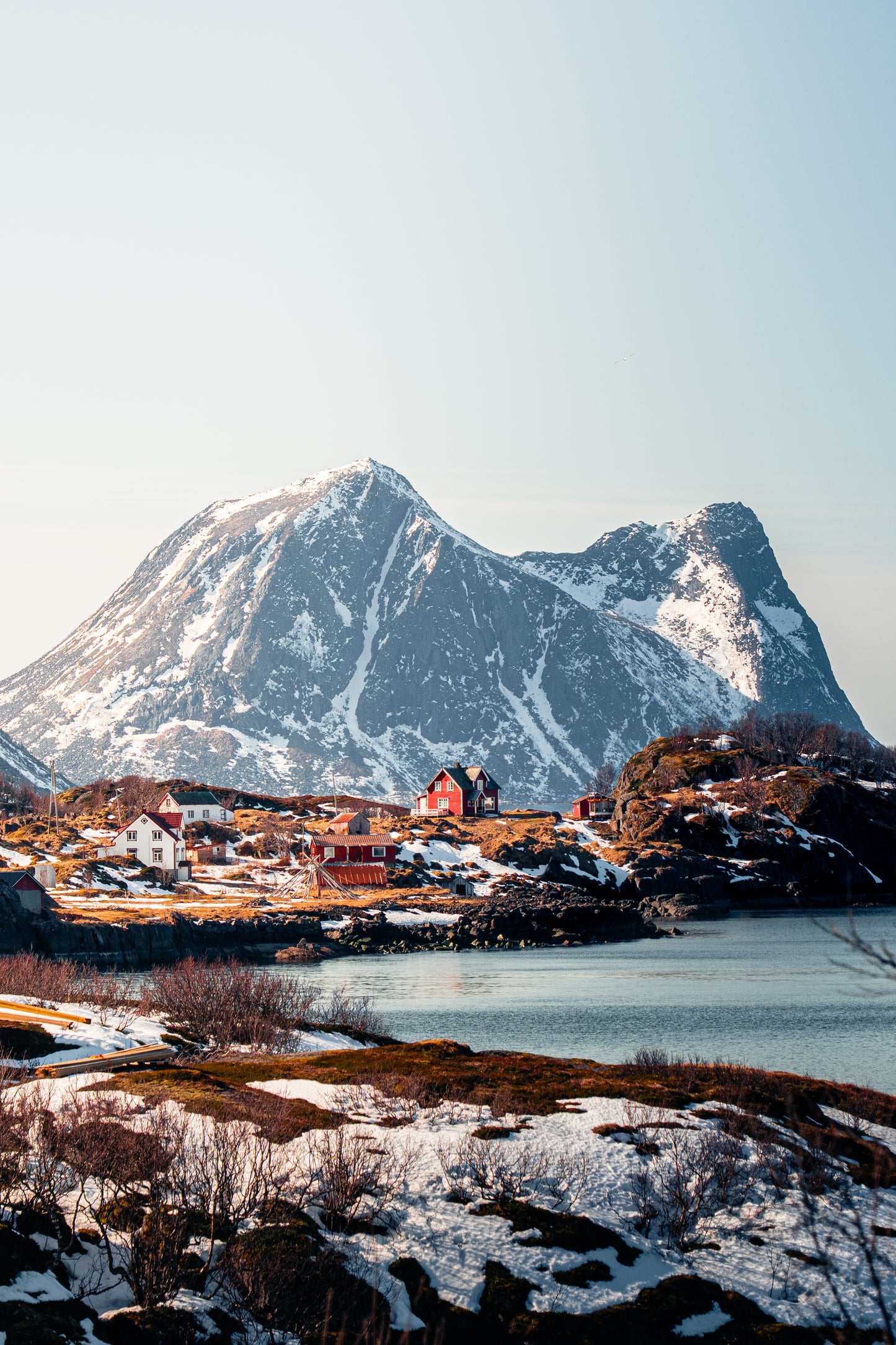 Senja III