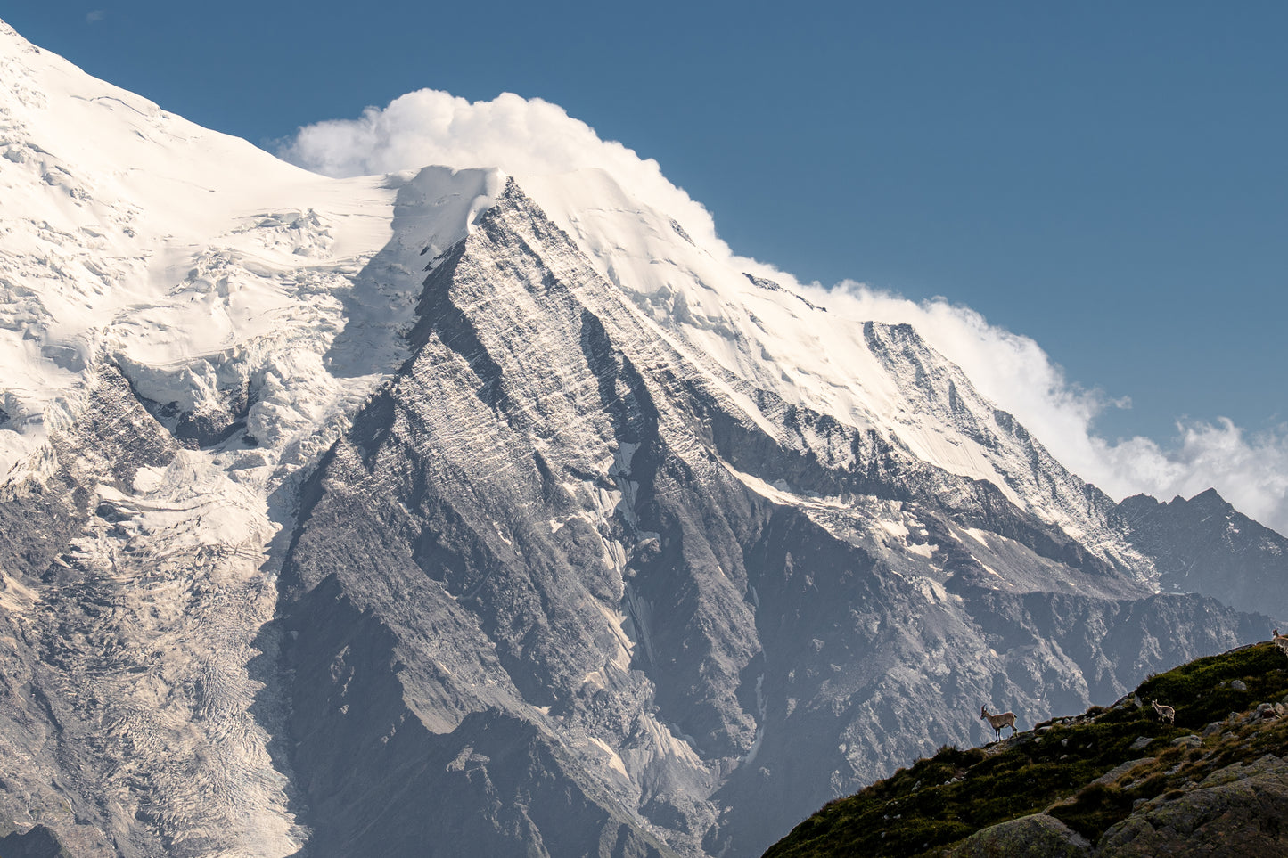 Vue sur Bionnassay