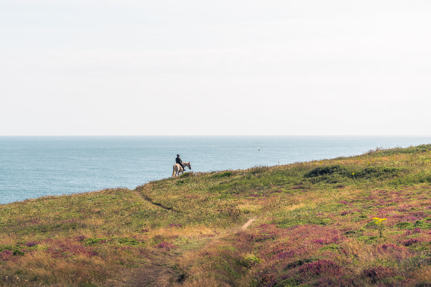 Peinture de Bretagne