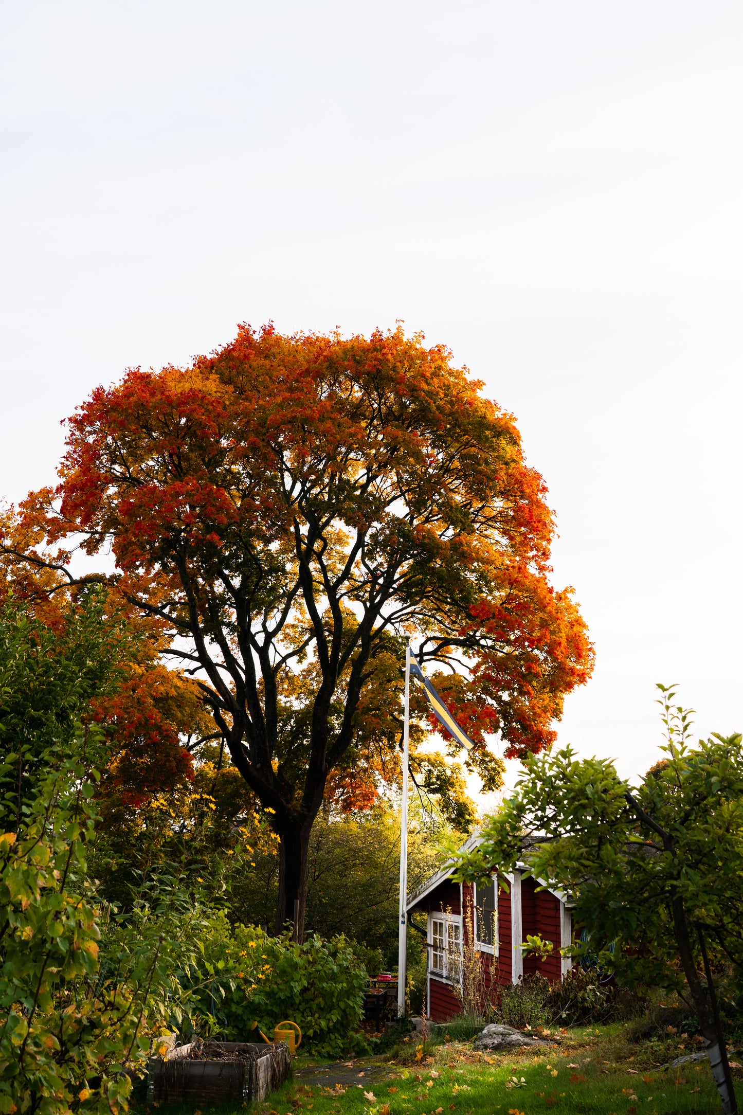 Tantolunden Parc III